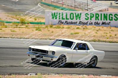 media/May-10-2025-Cobra Club (Sat) [[7b9c5022b1]]/Passenger/